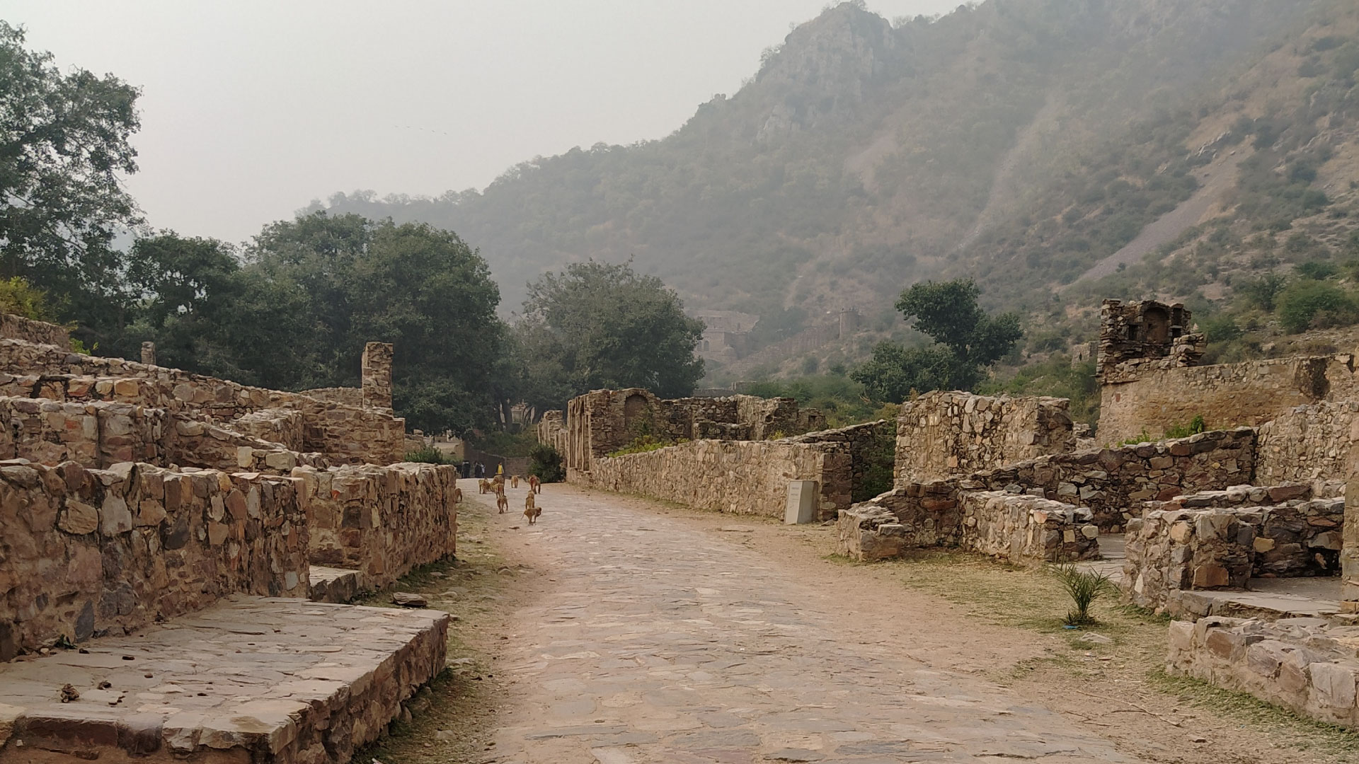 on our way to bhangarh