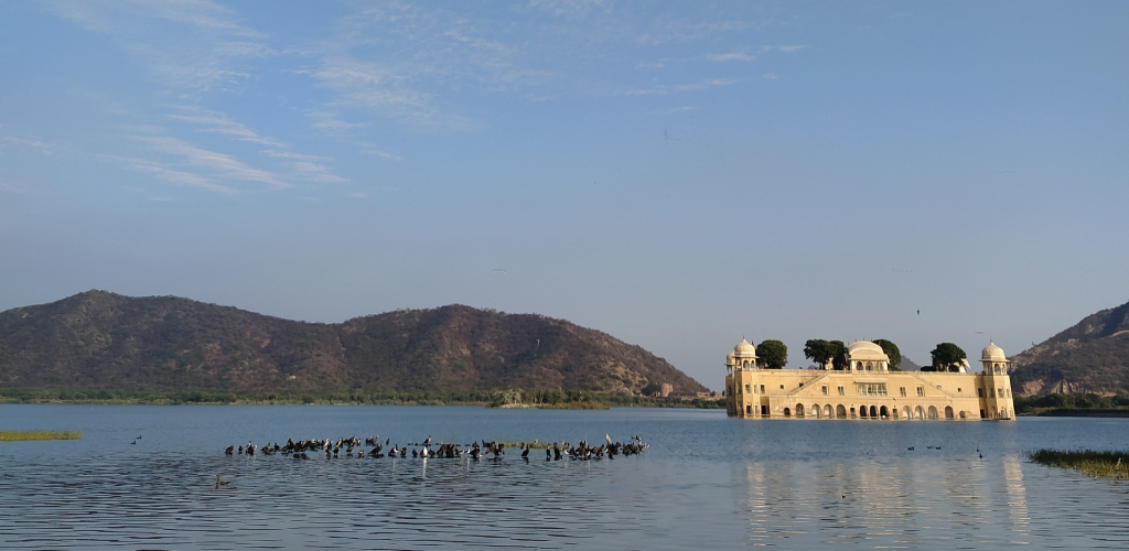 mansagar lake